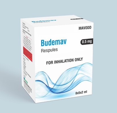 screenshot 26 8 2025 8424 