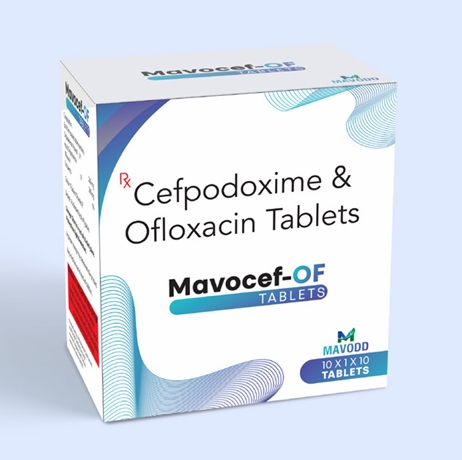 screenshot 26 8 2025 8444 